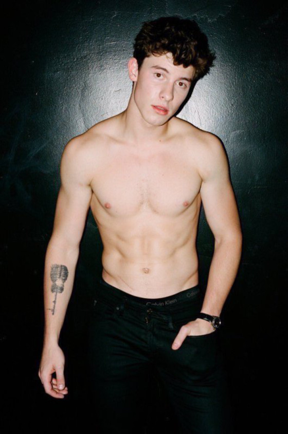 Shawn Mendes, Flaunt Shawn Mendes, Flaunt